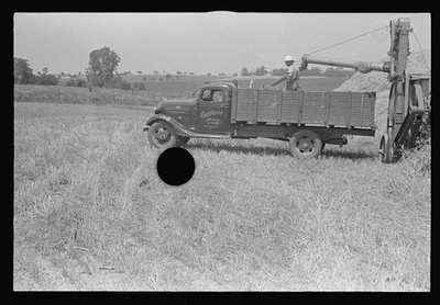 Photo:Central Ohio 1938 Grain Truck Filling Threshed Wheat Farm Worker