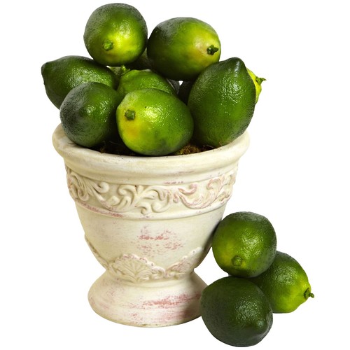 buy philodendron monstera Monstera – Planta