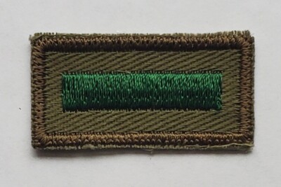 ONE (1) Assistant Patrol Leader - Vintage 1950s-60s BSA Position Patch