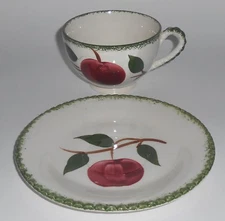 Blue Ridge Southern Potteries Quaker Apple Cup & Saucer Set
