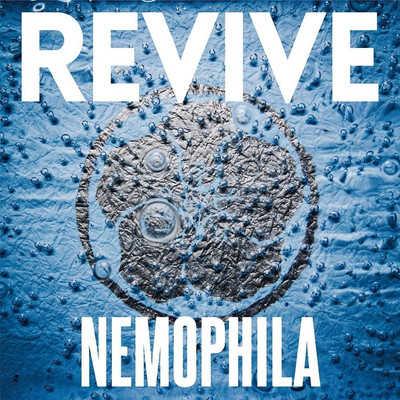 CD REVIVE (Standard Edition) Japan NEMOPHILA Music (1 CD) DDCZ-2285 Album