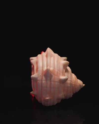 Articulated Hermes, the Hermit Crab - Picture 8 of 9