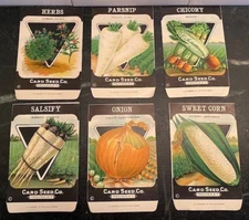 NOS Card Seed Company Greene Lithograph Vintage unused Seed Packets Fredonia N.Y