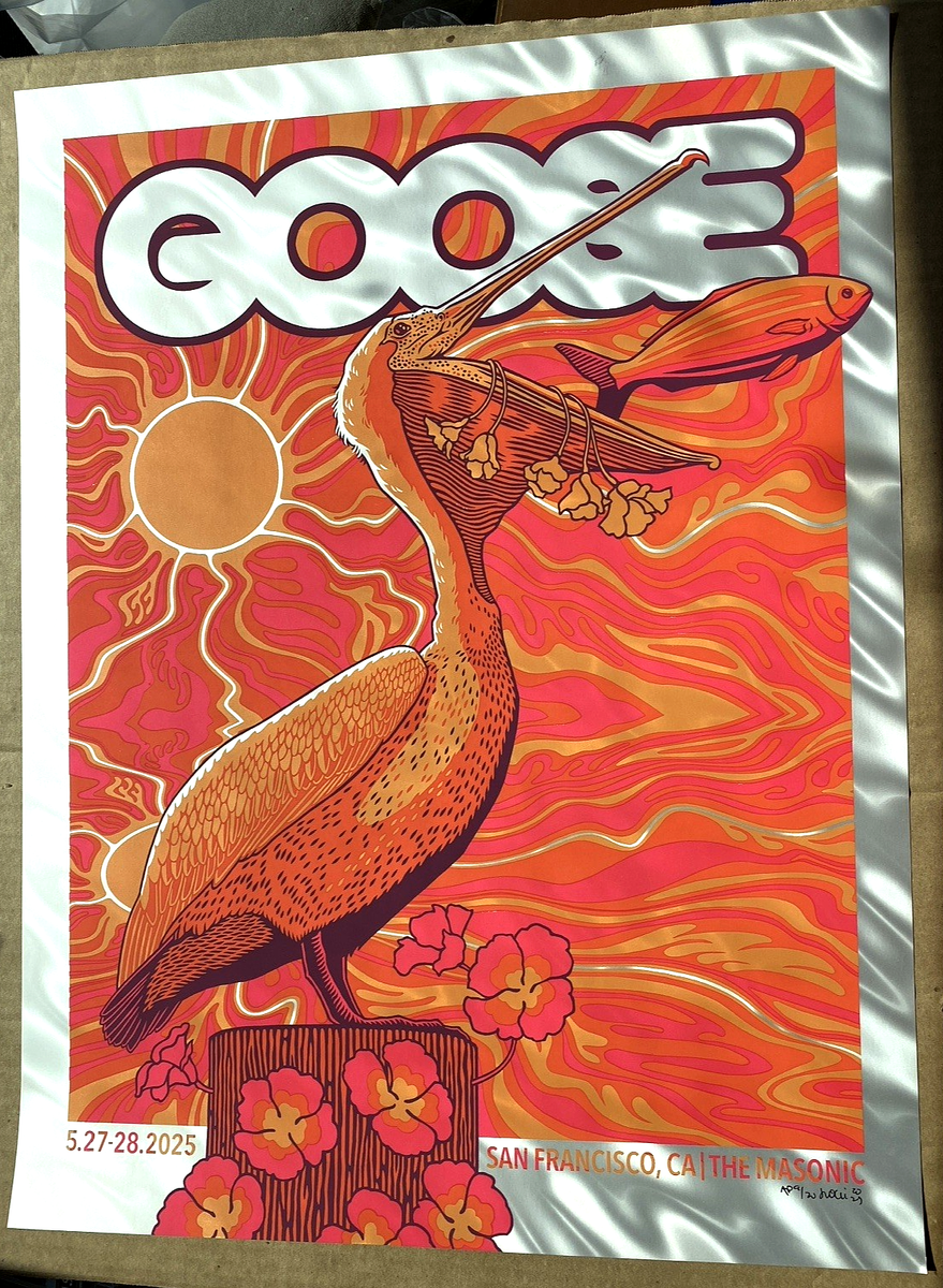 AUTHENTIC GOOSE San Francisco CA 2025 AQUATIC FOIL AP Poster