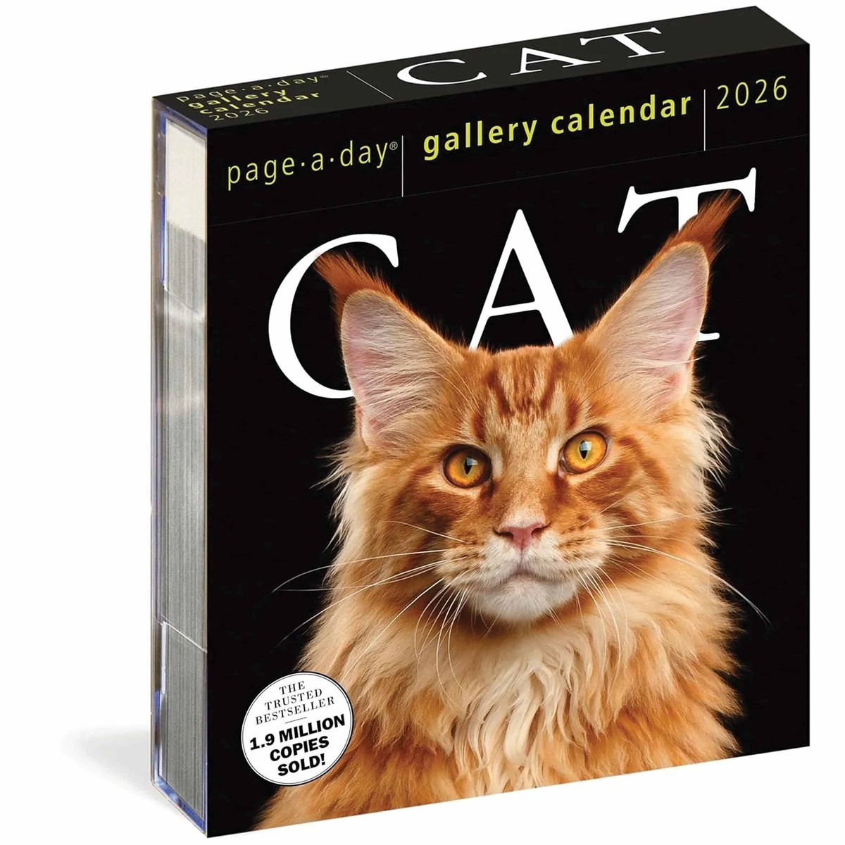 Cat Gallery Desk Calendar 2026, Desk Calendars, Day To View, Cats, Gift