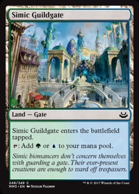 Simic Guildgate~248/249~LP~(MM3) - Modern Masters 2017~MTG