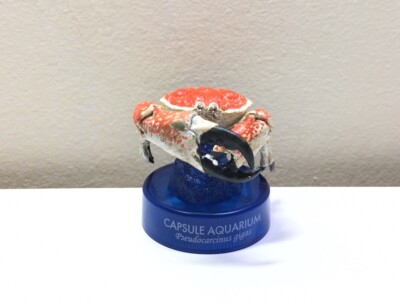 Kaiyodo Japan Exclusive Shinagawa Aquarium Tasmanian Giant King