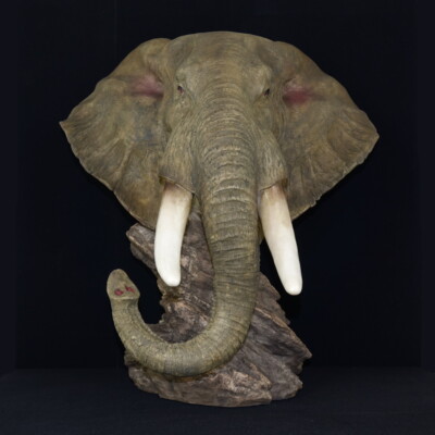 XL Deko Figur Elefant Afrika Elefantenfigur Wildlife Animals Africa Elephant