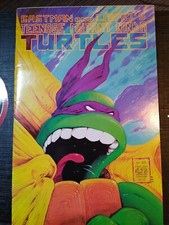 Teenage Mutant Ninja Turtles #22 Jun 1989 Mirage Studios TMNT Comic Book  on The Hot Collector