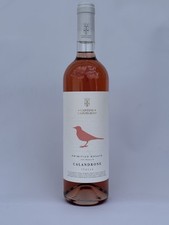 Vino Primitivo Rosato IGP Puglia Cantine Capotorto 6 Bottiglie