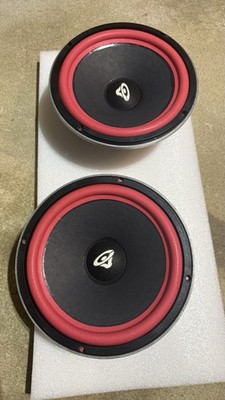 Cerwin Vega Rew -25    10 inch woofers.  rew-10
