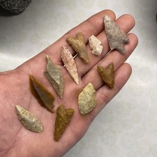 MLC s8393 (10) Neolithic Arrowheads Sahara Desert Birdpoints Africa Artifacts