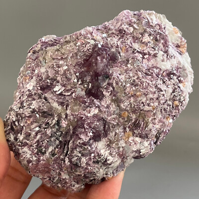 369g Natural Marvelous Lepidolite Purple Mica Crystal Reiki Stone Specimen CG8