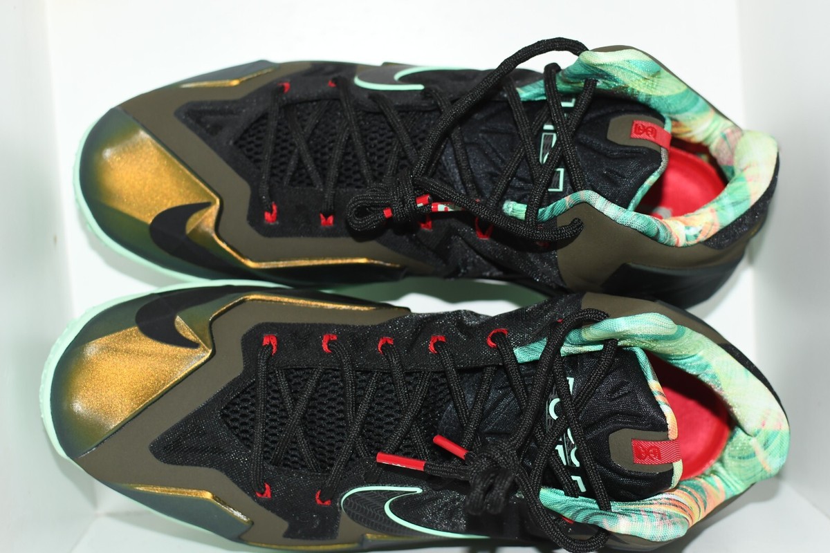 レブロン11 KINGS PRIDE バスケットシューズ Nike LeBron 11