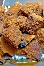 Wholesale WILD Harvest 2024 Chaga chunks 5Kg