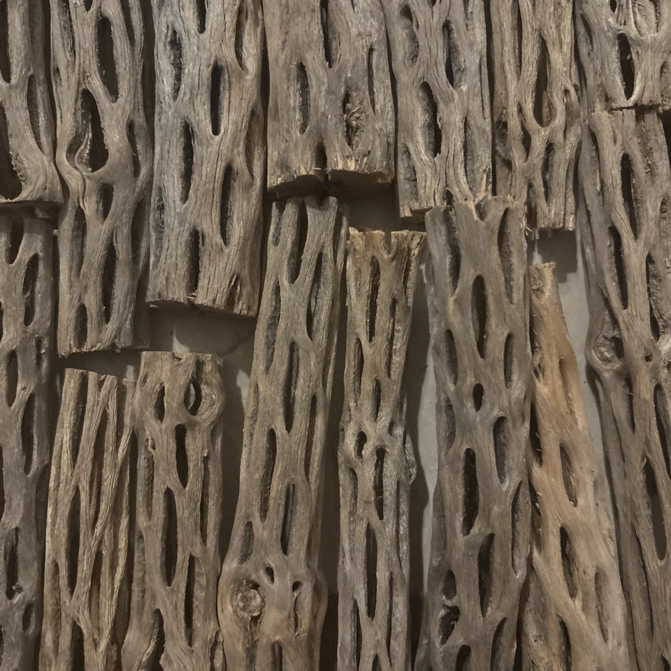 10 libras (aprox. 170 piezas) 6” piezas de madera Cholla prelimpiada | acuario Foto 2 de 2