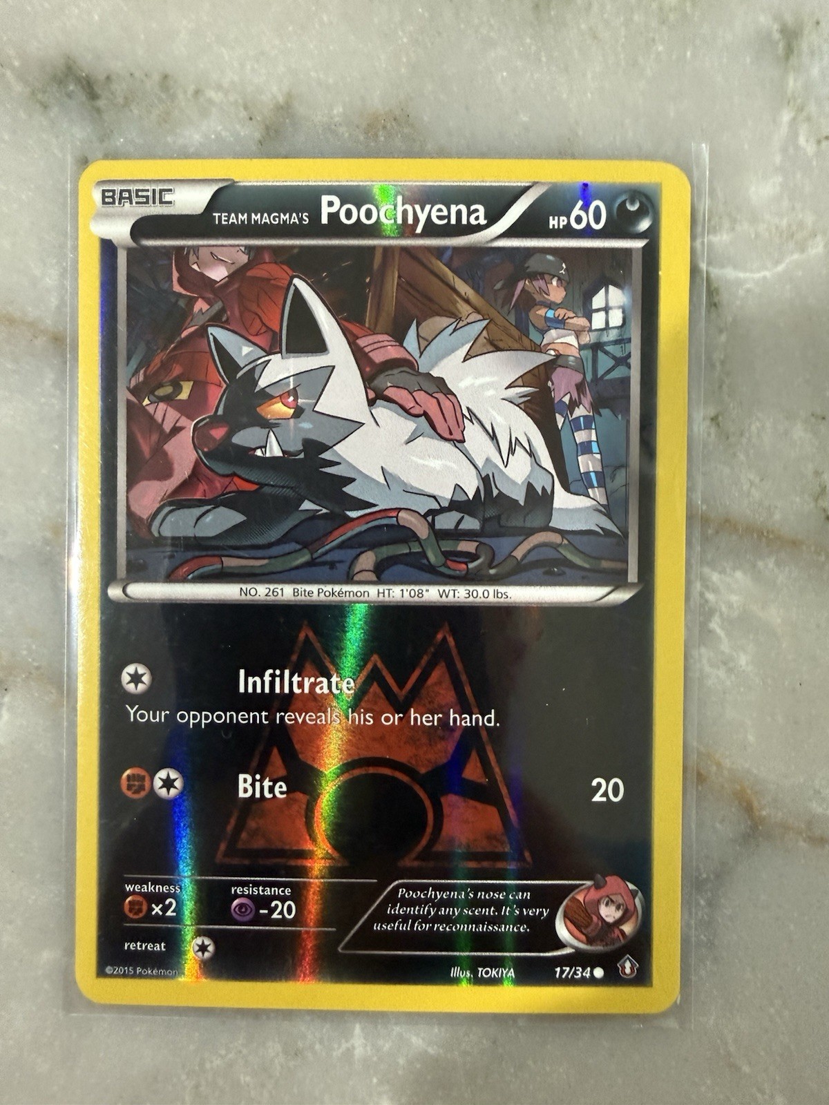 Team Magma's Poochyena 17/34 Double Crisis Reverse Holo