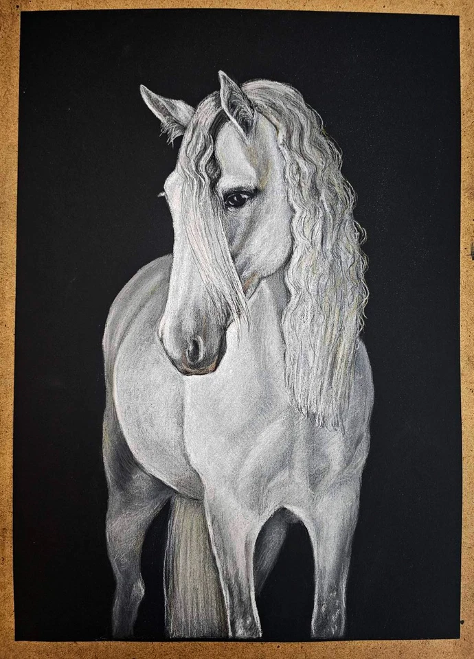 Dibujo pastel caballo blanco A3 arte equino realista en papel negro gracia y poder Foto 2 de 4