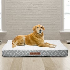 eddie bauer dog beds