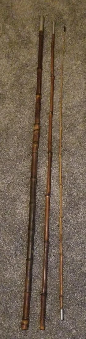 Cane pole fishing outlet