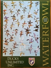 Ducks Unlimited Know your WaterFowl ID Educational Poster