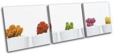 Cactus Modern Minimal Nature Floral TREBLE CANVAS WALL ART Picture Print