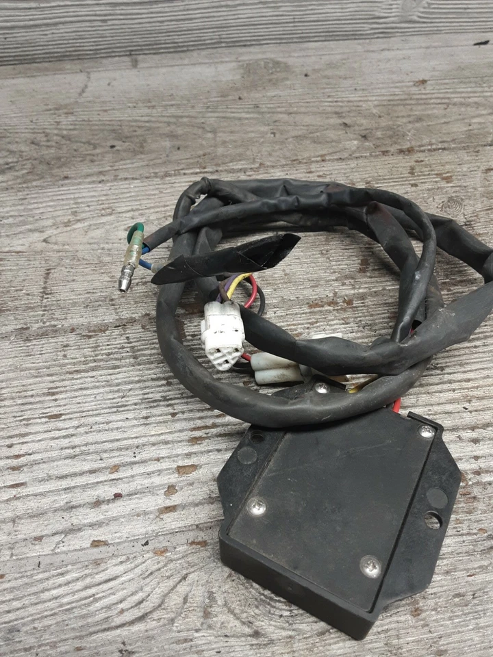 2008 06-11 Kawasaki zx14 ninja 1400 zx 14 muzzys bonneville pro speed adjust  - Image 4 of 4