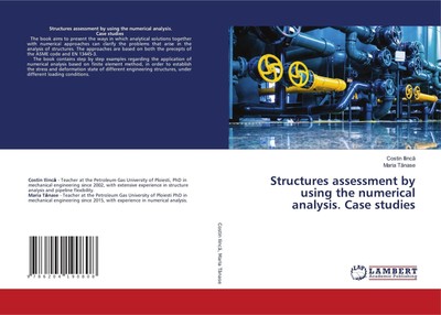 Structures assessment by using the numerical analysis. Case studies | Englisch
