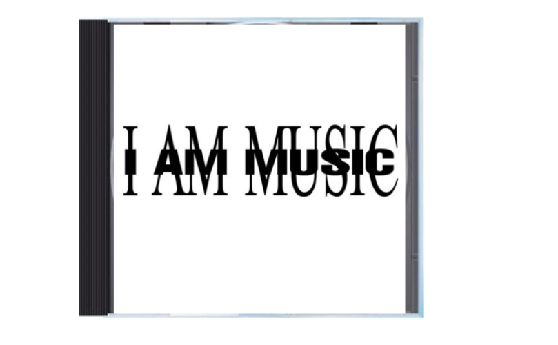 Playboi Carti \" MUSIC \" レコード Playboi Carti - 2024 & H00DBYAIR - Double Sided Black 7