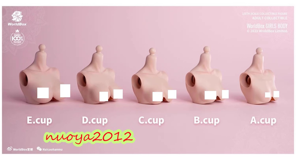 Worldbox 1/6 Female D/E Cup Big Breast Replacement Kit F 12