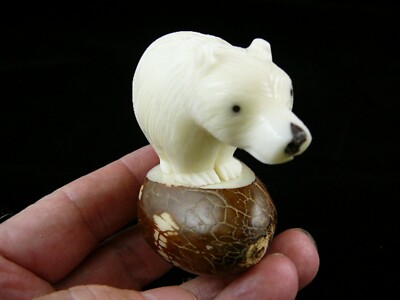 (TNE-BEAR-231) white BEAR cub TAGUA NUT Figurine Vegetable I love bears