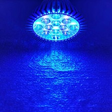36W PAR38 Blue Cyan 495nm 450nm 470nm LED Lamp Light Spot Bulb Plant Aquarium