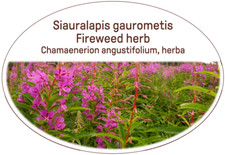 Fireweed herb Tea (lot.Chamaenerion angustifolium)Very Healthy Tea/Unique, delic