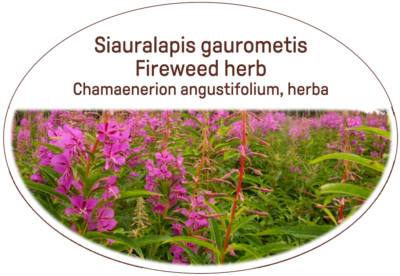 Feuerkraut Kräutertee (Lot.Chamaenerion angustifolium)Sehr gesunder Tee/Unikat, delikat