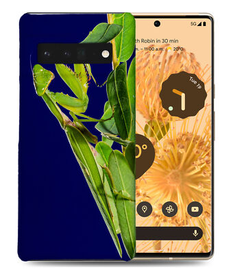 CASE COVER FOR GOOGLE PIXEL|GREEN PRAYING MANTIS INSECT #1