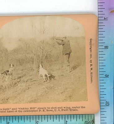 Famed Dog Handler D.E. Rose US Field Trials Hunting B.W. Kilburn Stereoview