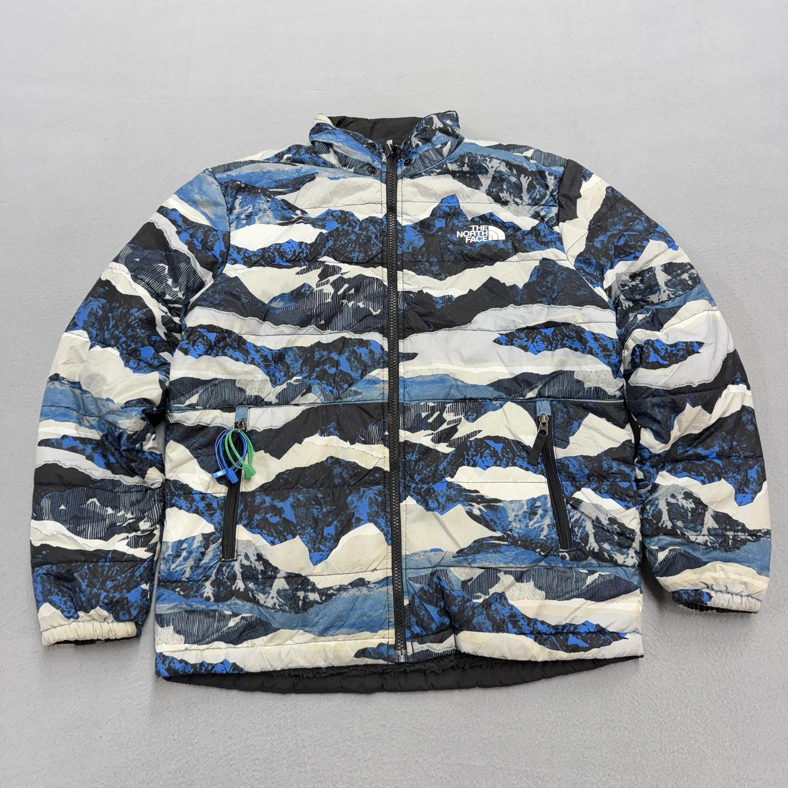 The North Face Jacket Mens Large Blue Mountain Print Reversible Sherpa Fleece