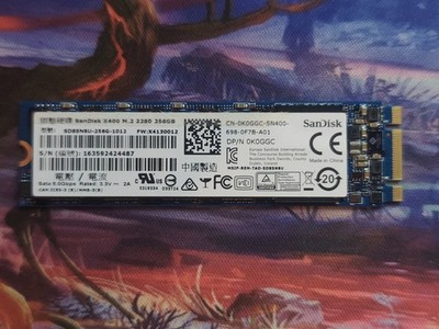 SanDisk X400 256GB M.2 SATA SSD | 2280 | Modell SD8SN8U-256G | 100% Funktion