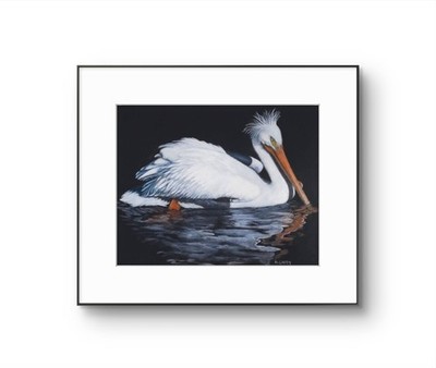 Original  White Pelican 14 x 11 Colored Pencil Paper Matted Art