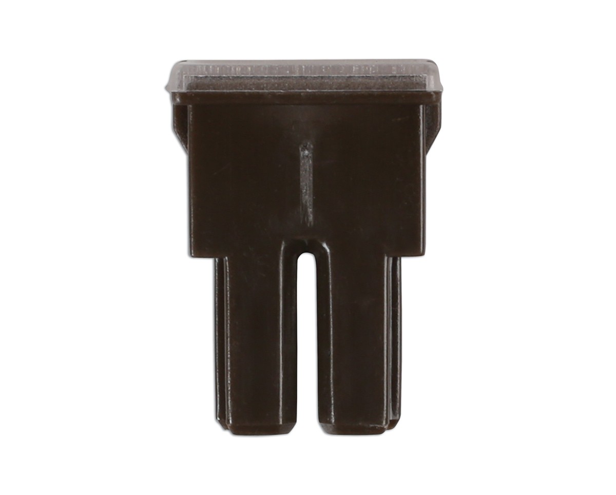 Connect Female PAL Fuses 70A 10pc 30480