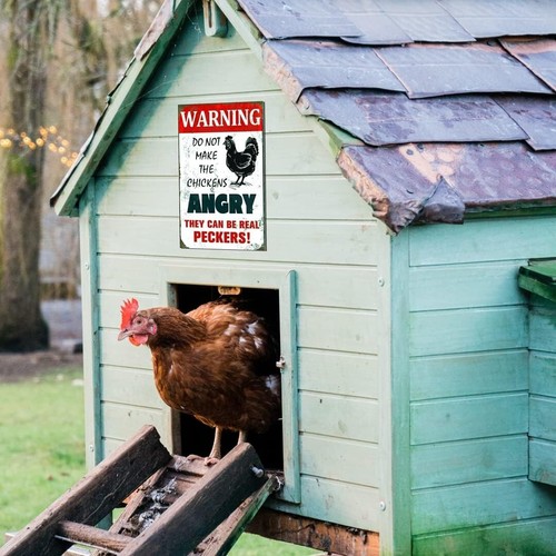 6 Pack Chicken Toys – with Xylophone, Chicken Swing, Vegetable Feeder, Sign, toy - 第 10/10 張圖片