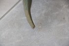 Picture 5 of 6