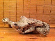 Beautiful 17" DRIFTWOOD Piece Art Terrarium Taxidermy Aquarium Reptile DECOR