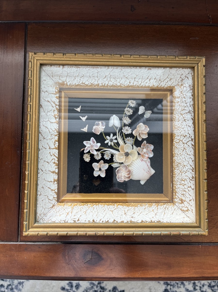 Framed Seashell Picture - Real Sea Shells 7.5