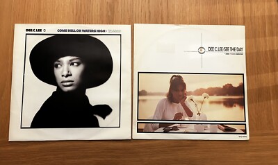 Dee C Lee  The Paris Match / Come Hell Or Water High  - Two  12'' Bundle