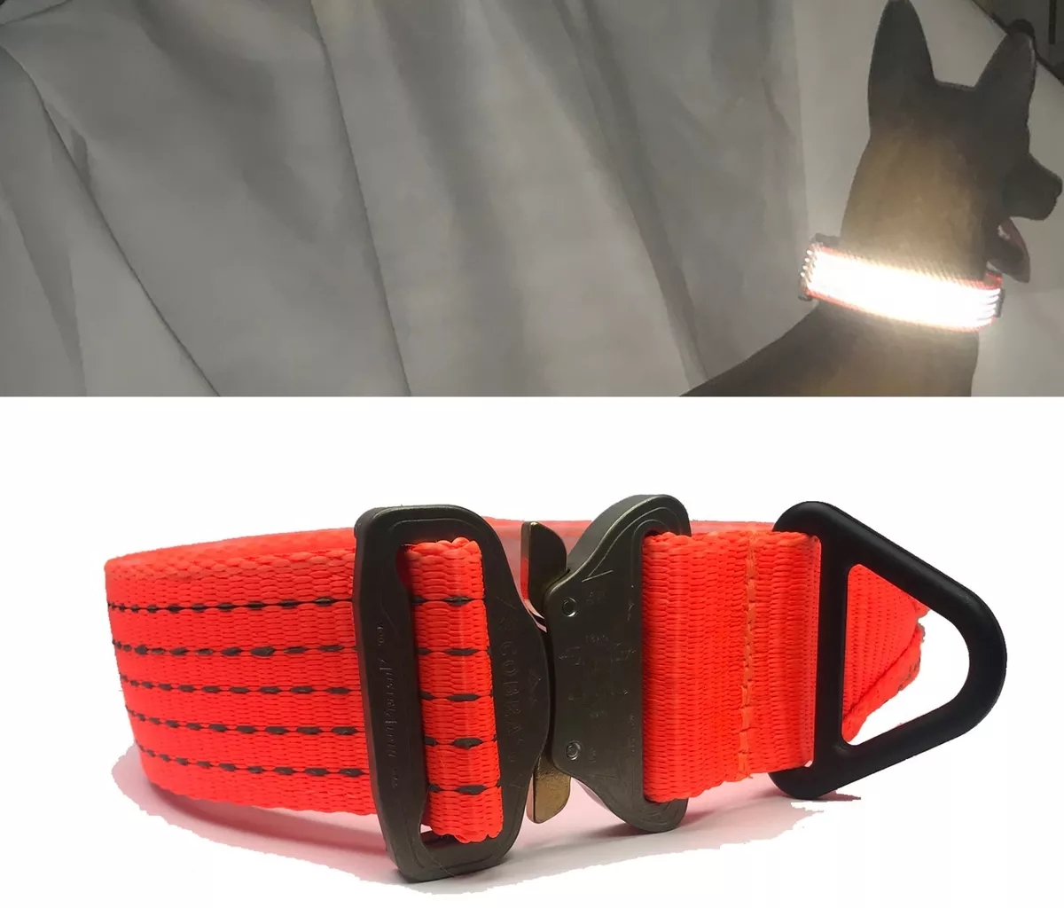 Strongest 2025 bark collar