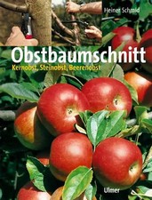 Obstbaumschnitt