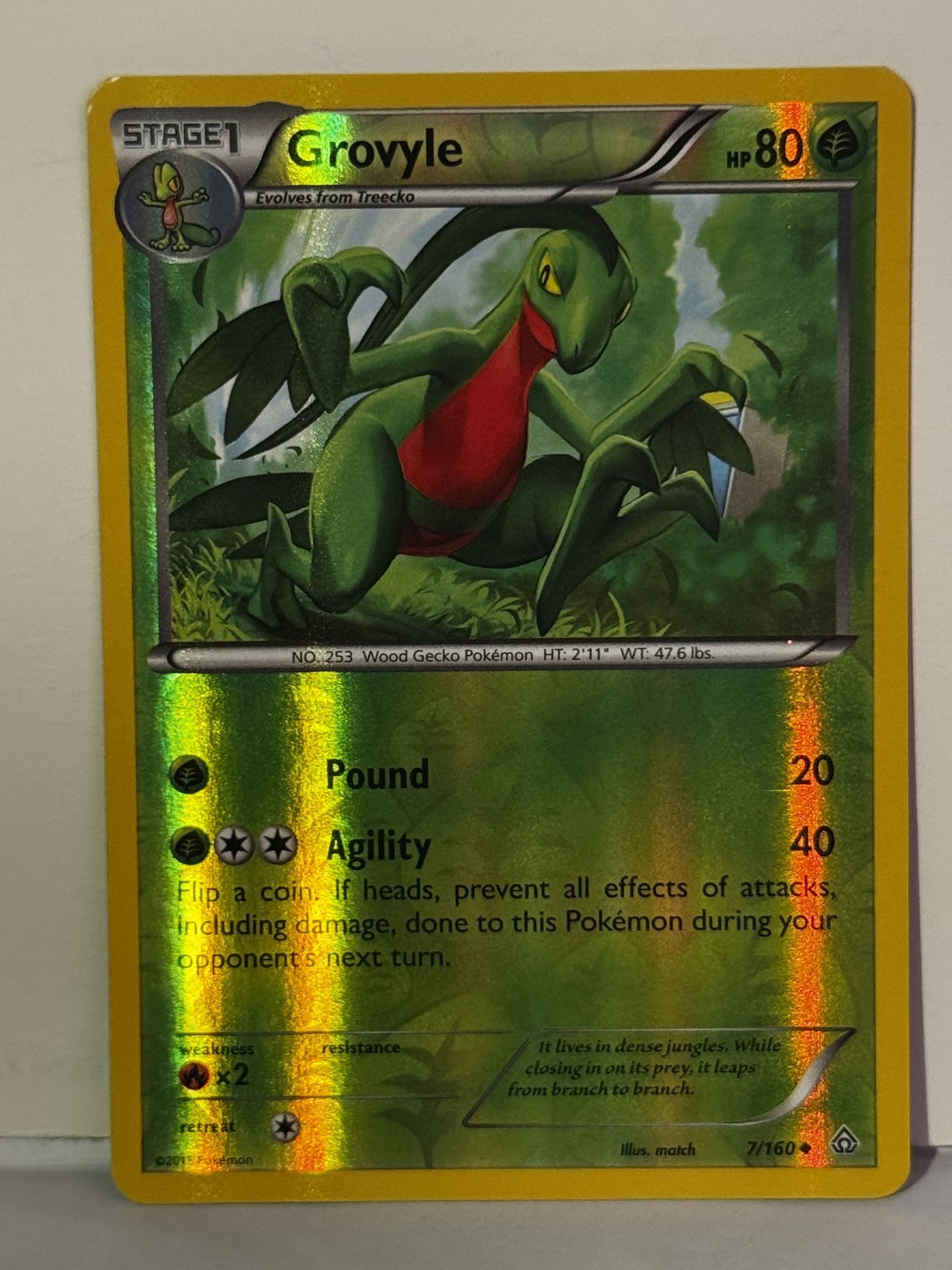 Grovyle Reverse Holo 7/160 XY - Primal Clash NM Pokemon Fast Ship