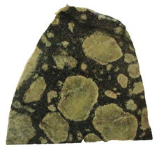 Amygdaloidal Basalt Slab - 204 grams - Green - White - Michigan