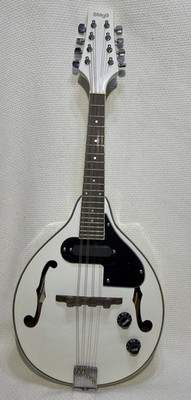 Stagg Acoustic-electric bluegrass mandolin White